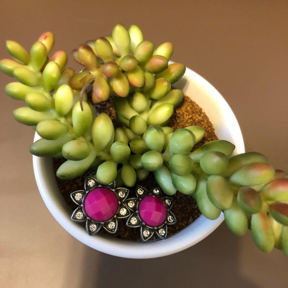 J.CREW 💓 CUTE earrings!